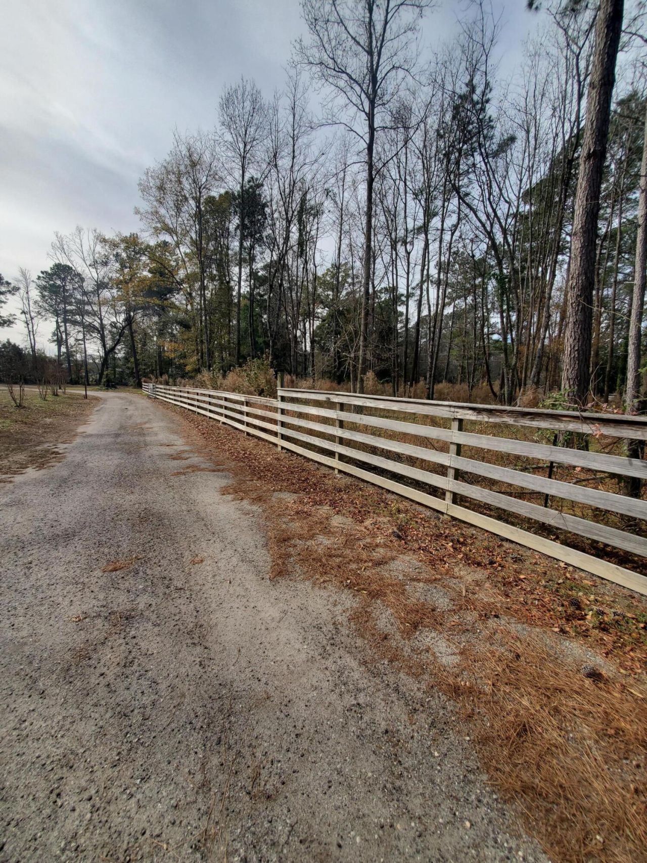 3109 Wire Road Photo 28