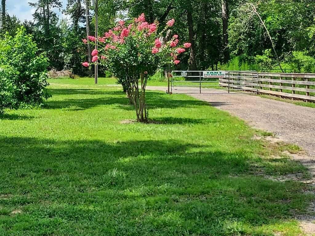 3109 Wire Road Photo 59