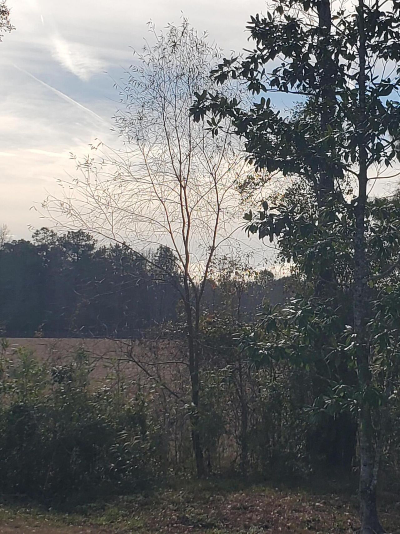 3109 Wire Road Photo 60