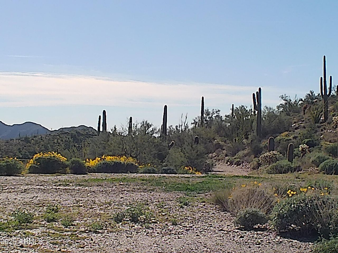 00 N Hardt Tank Road, Queen Valley, AZ 85118