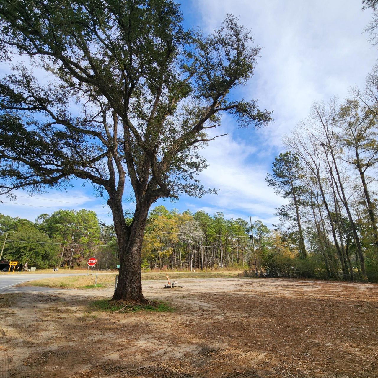 0 Campbell Thickett Road Photo 8