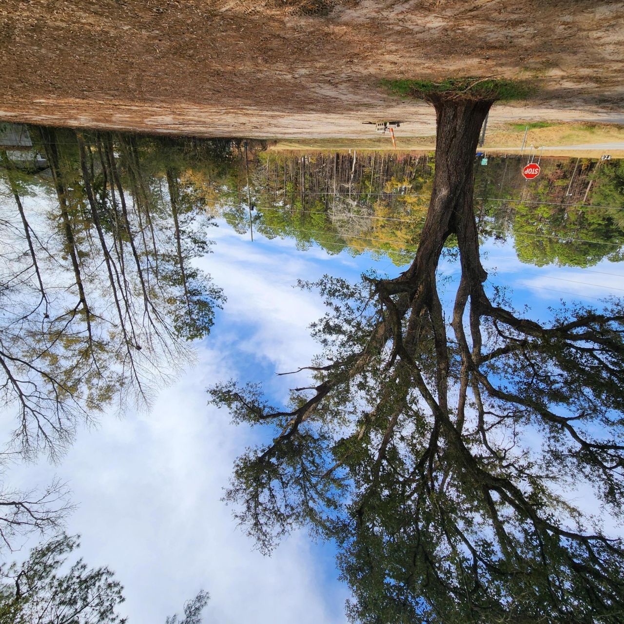 0 Campbell Thickett Road Photo 9