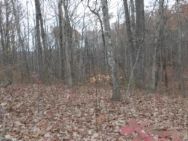 Lot 23 Cumberland Cove Rd, Monterey, TN 38574