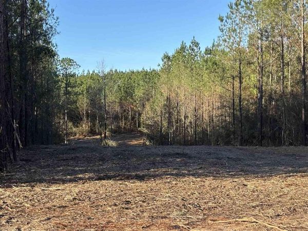 lot 58 Straw Bridge Rd, Jay, FL 32565