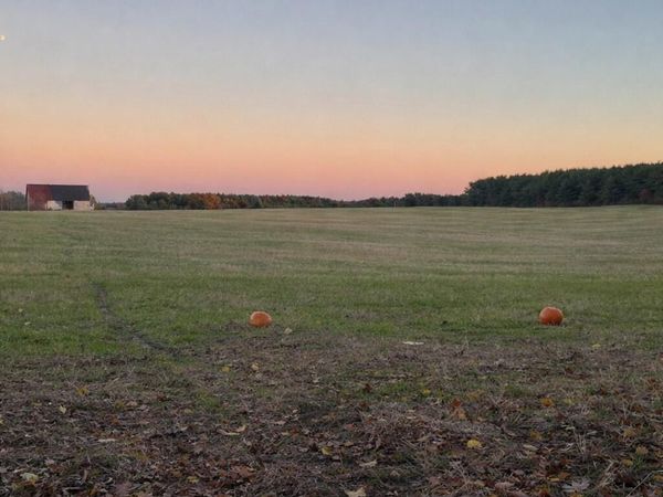 11661 75th Avenue, Mecosta, MI 49332