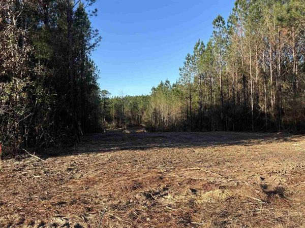lot 59 Straw Bridge Rd, Jay, FL 32565