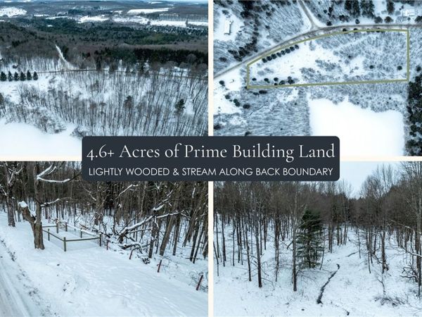 Lot 36 Spurr Street, New Berlin, NY 13411