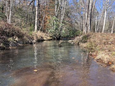 000 Parrot Lk Road, Pineville, KY 40977