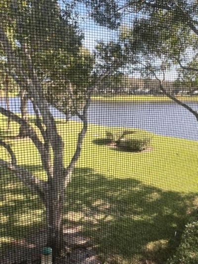 2412 SW Danbury Lane, Palm City, FL 34990 Photo