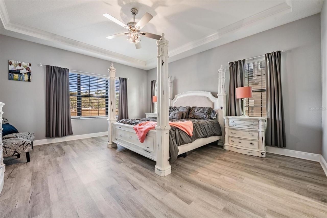 19529 Hayden Lake Court, Land O Lakes, FL 34638 Photo