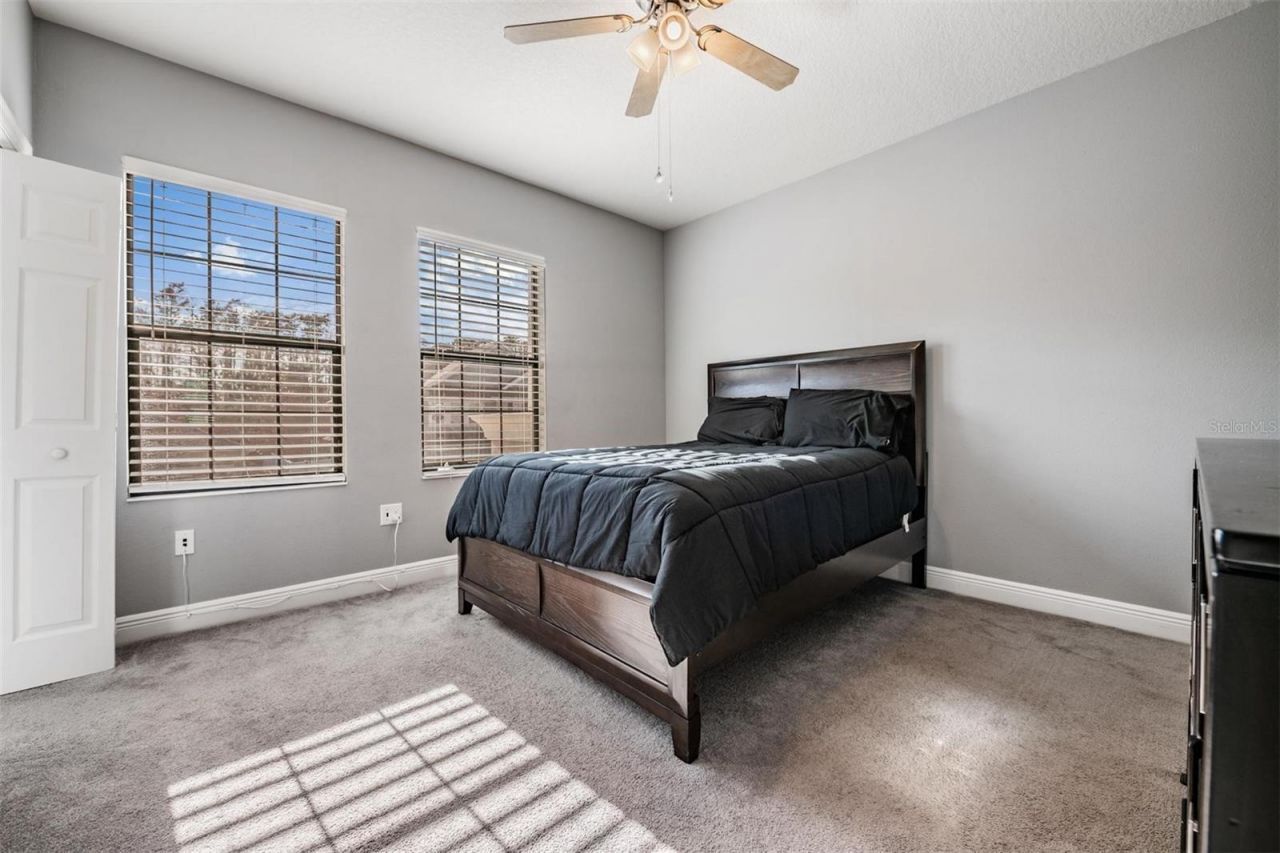 19529 Hayden Lake Court, Land O Lakes, FL 34638 Photo