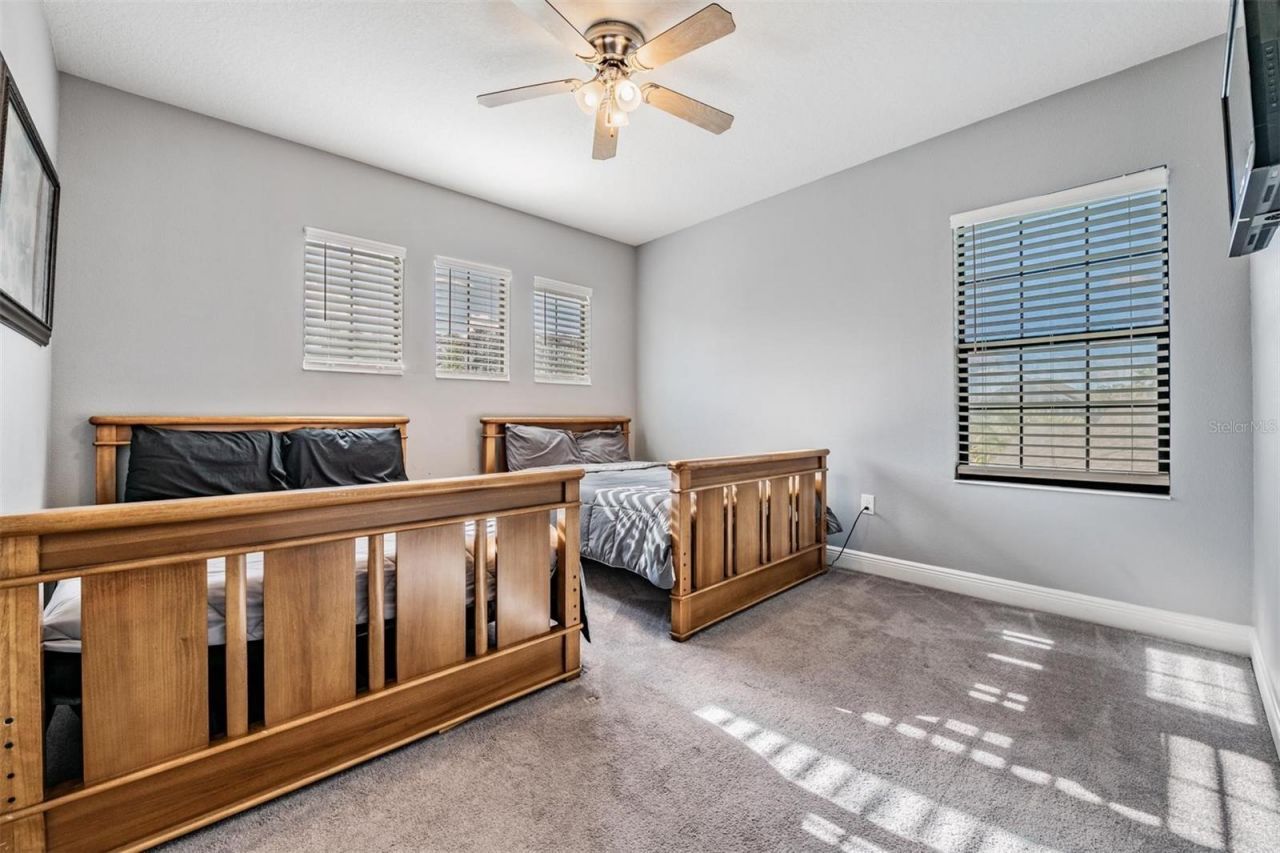 19529 Hayden Lake Court, Land O Lakes, FL 34638 Photo