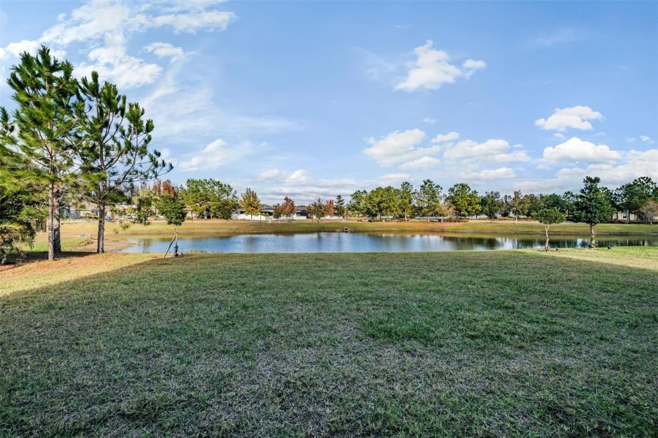 19529 Hayden Lake Court, Land O Lakes, FL 34638 Photo