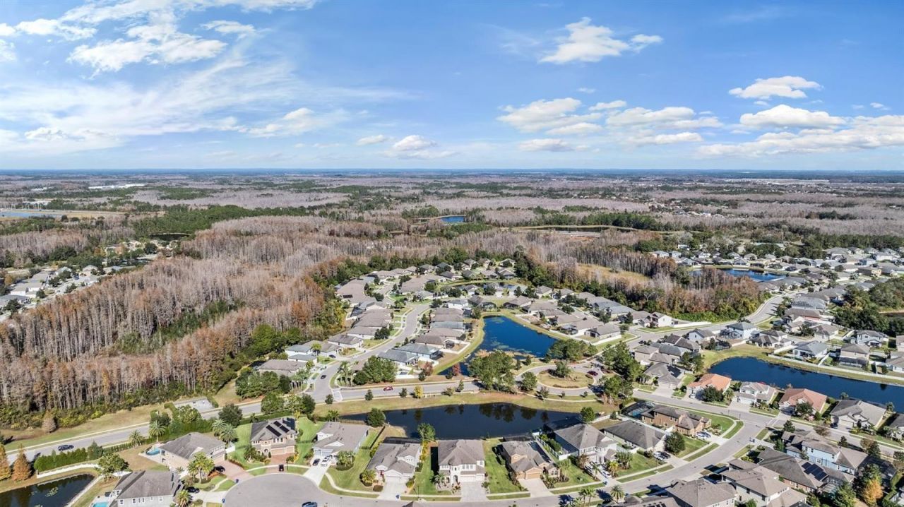 19529 Hayden Lake Court, Land O Lakes, FL 34638 Photo