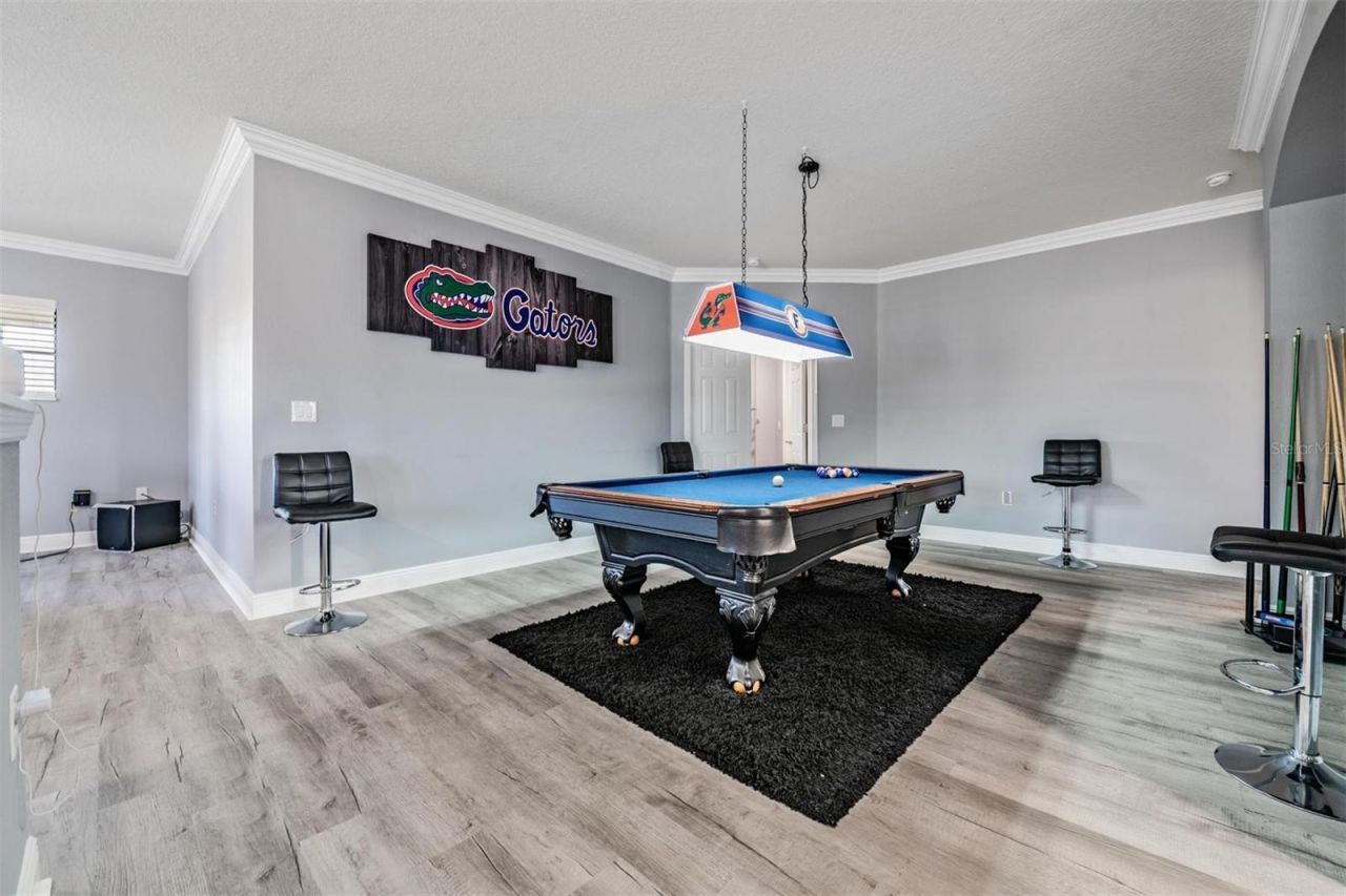 19529 Hayden Lake Court, Land O Lakes, FL 34638 Photo