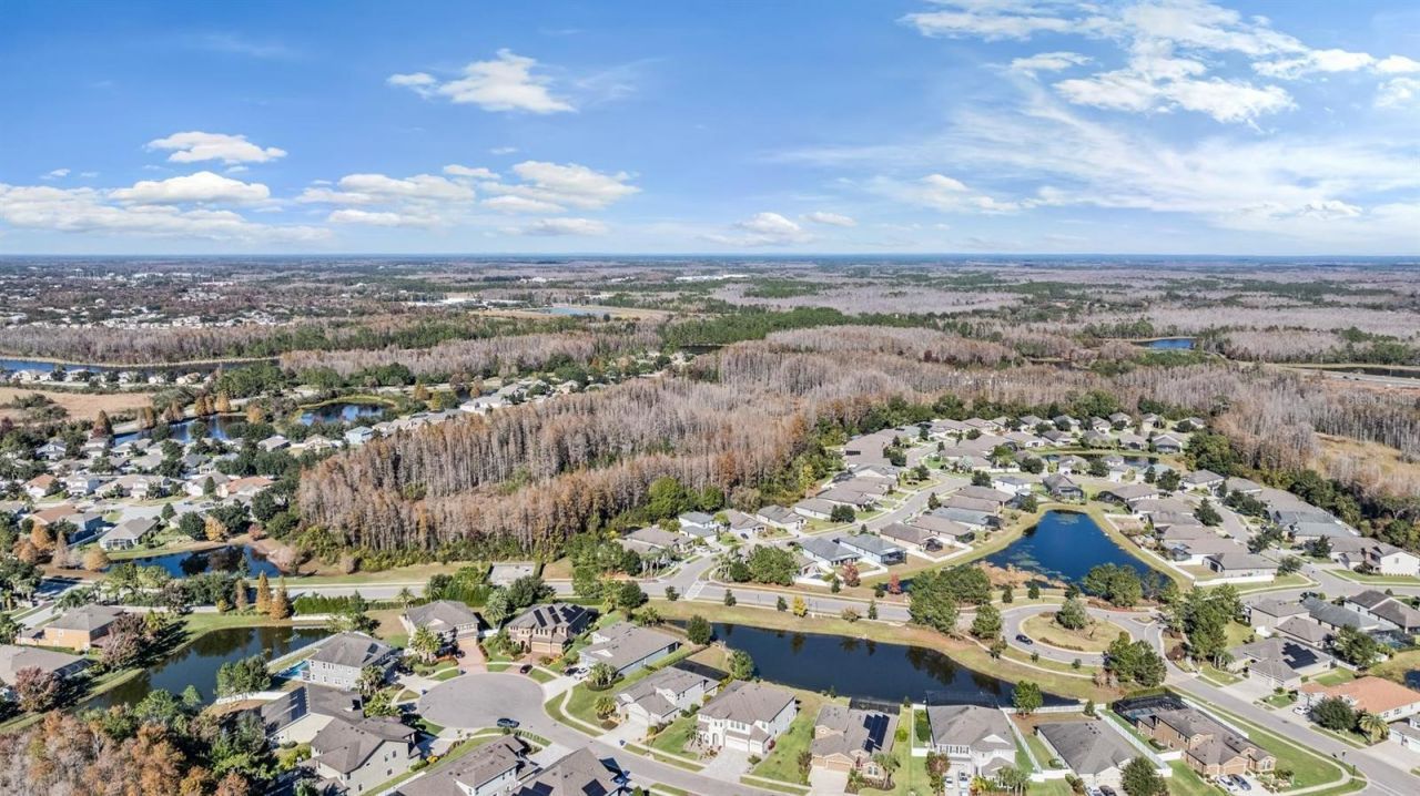 19529 Hayden Lake Court, Land O Lakes, FL 34638 Photo