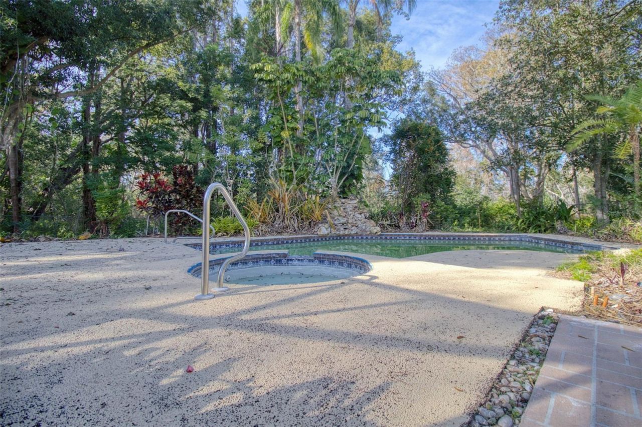 15715 Almondwood Drive, Tampa, FL 33613 Photo