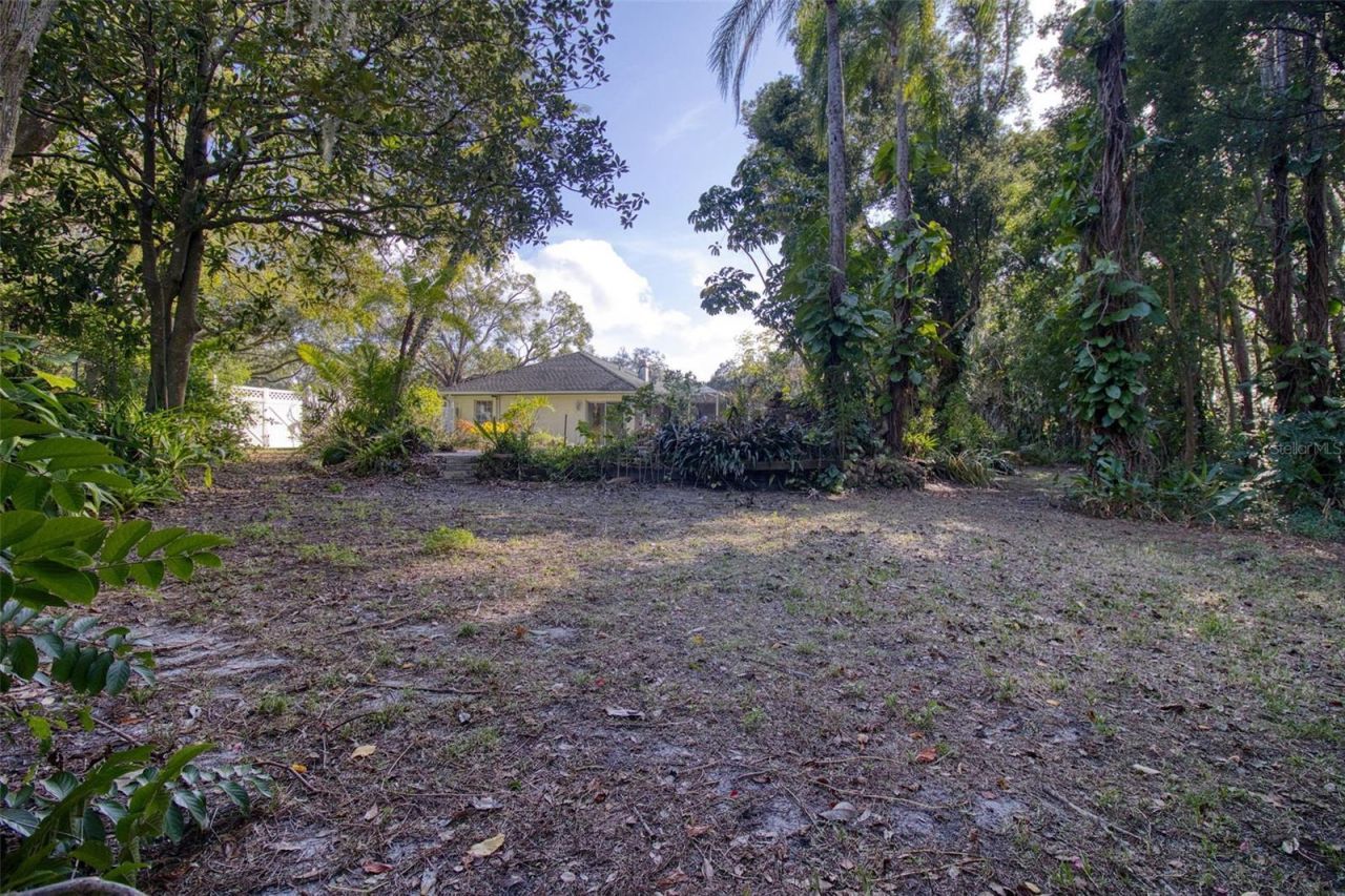 15715 Almondwood Drive, Tampa, FL 33613 Photo