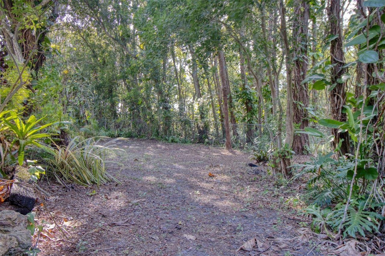 15715 Almondwood Drive, Tampa, FL 33613 Photo