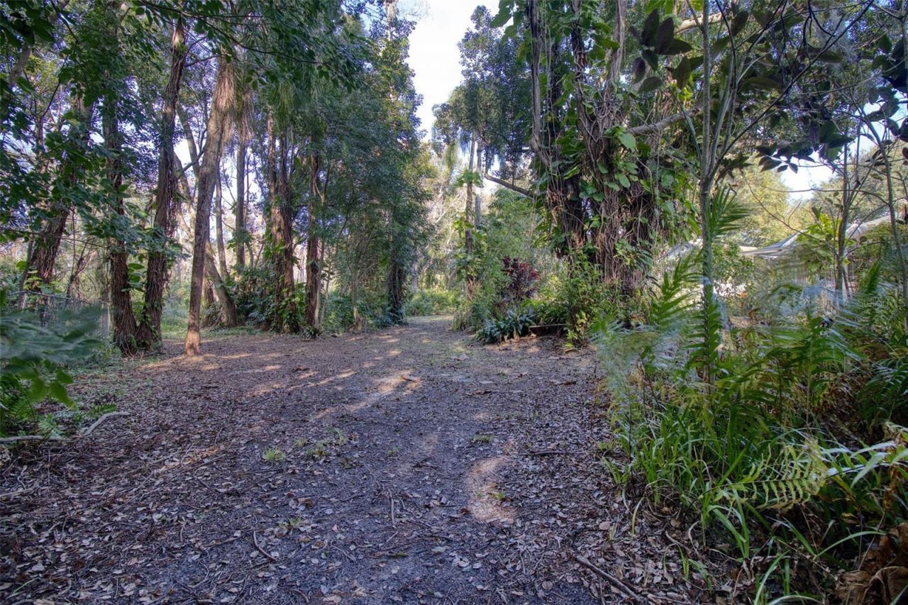 15715 Almondwood Drive, Tampa, FL 33613 Photo