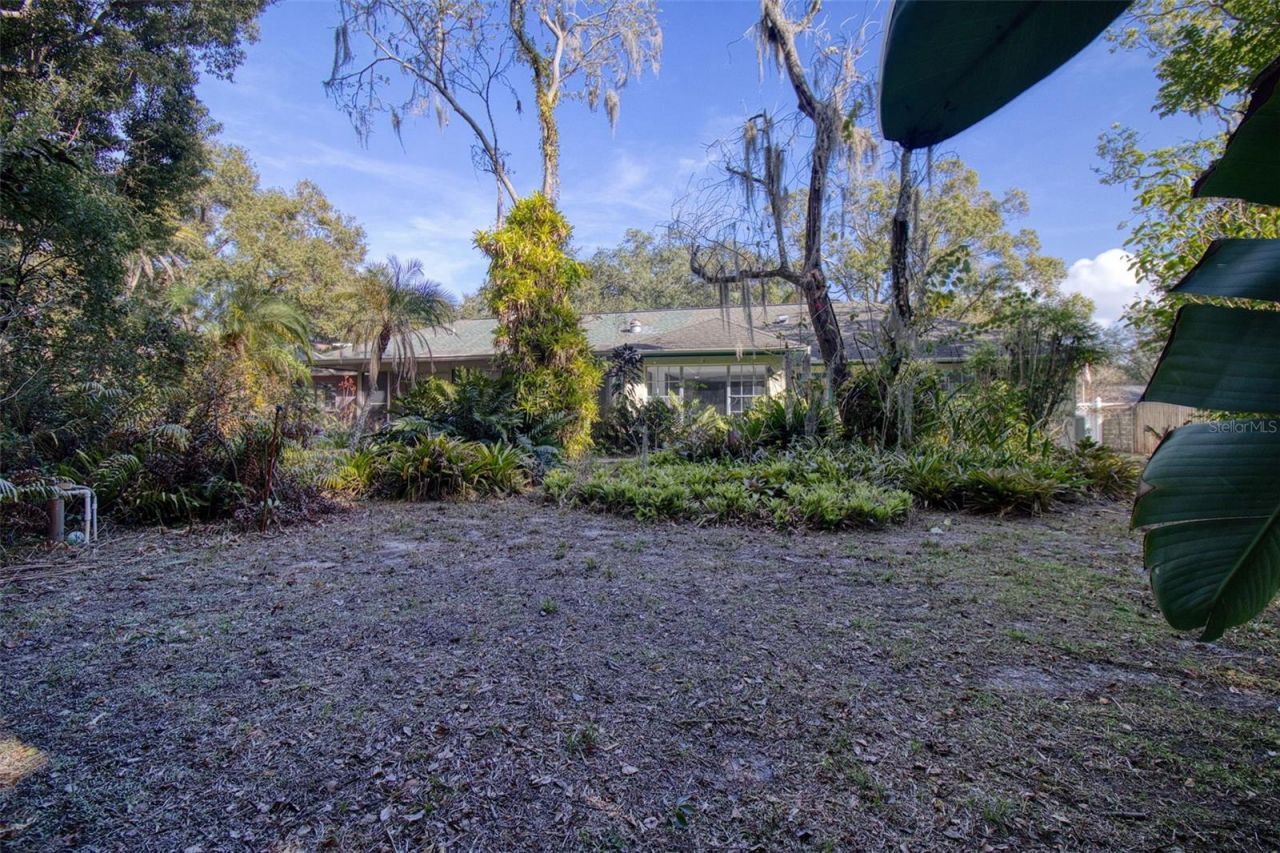 15715 Almondwood Drive, Tampa, FL 33613 Photo