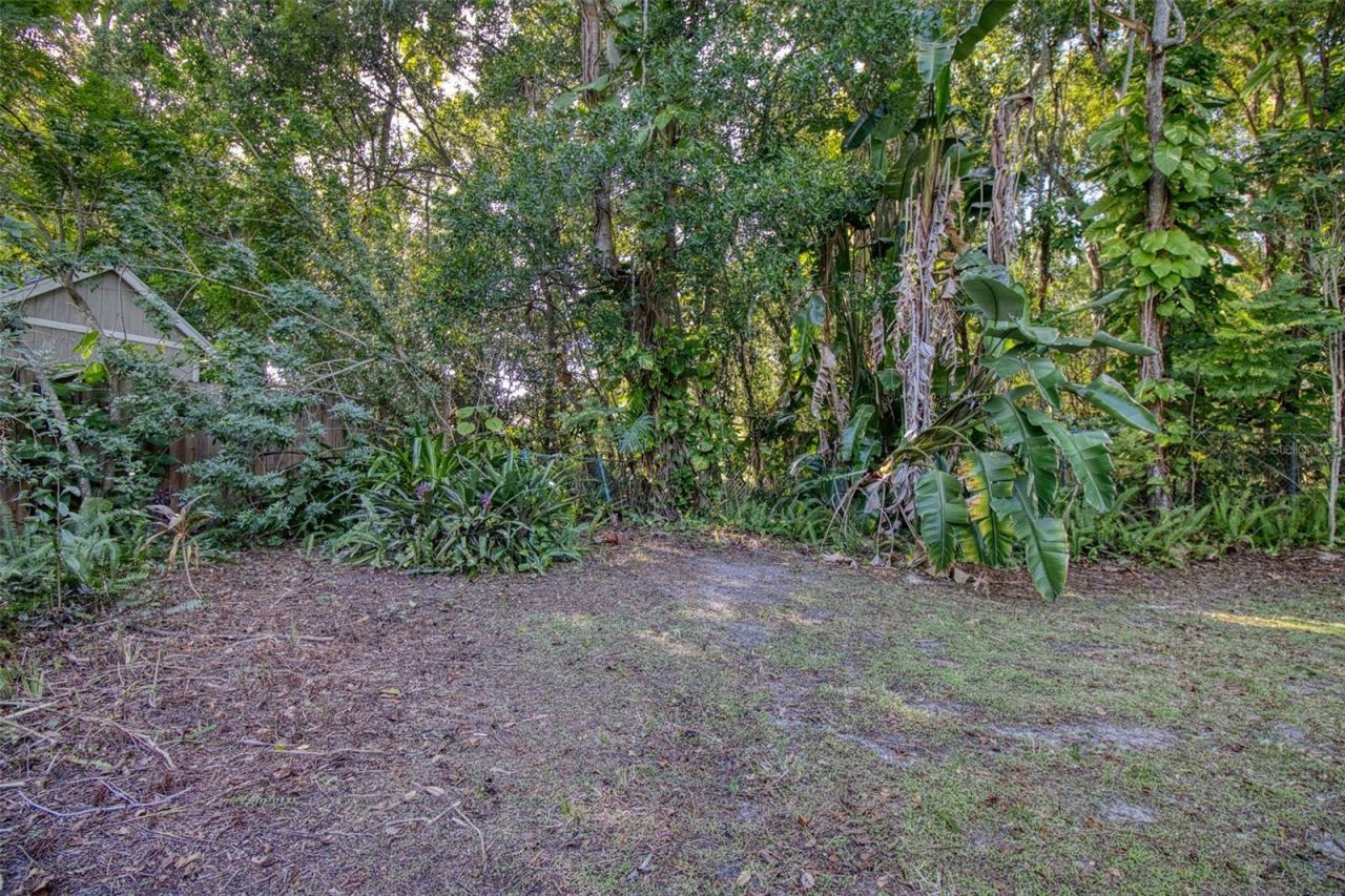 15715 Almondwood Drive, Tampa, FL 33613 Photo