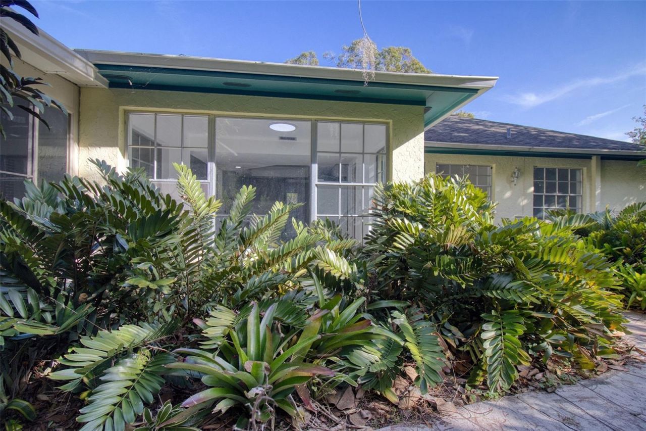 15715 Almondwood Drive, Tampa, FL 33613 Photo