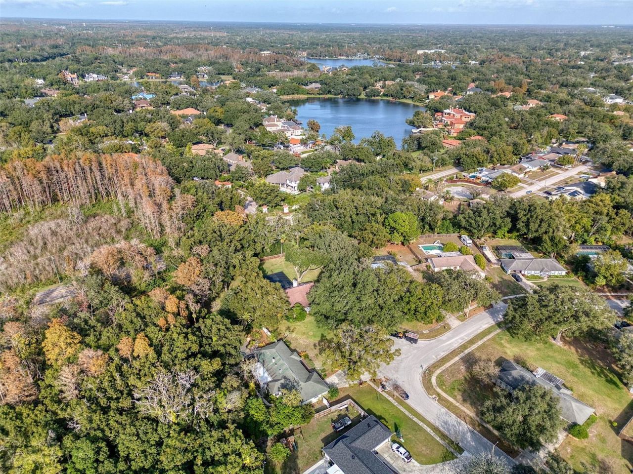 15715 Almondwood Drive, Tampa, FL 33613 Photo