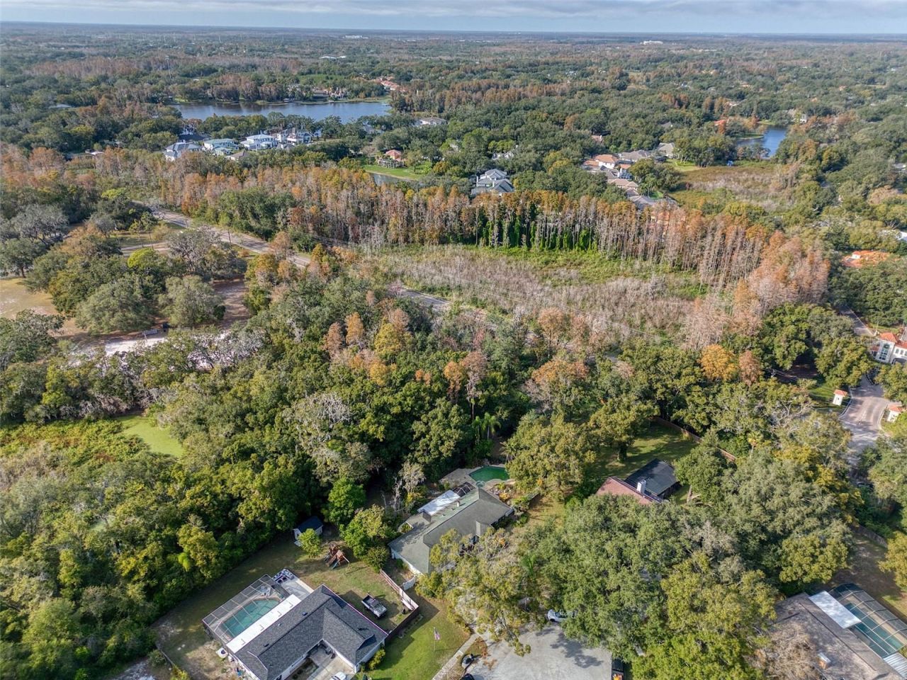 15715 Almondwood Drive, Tampa, FL 33613 Photo