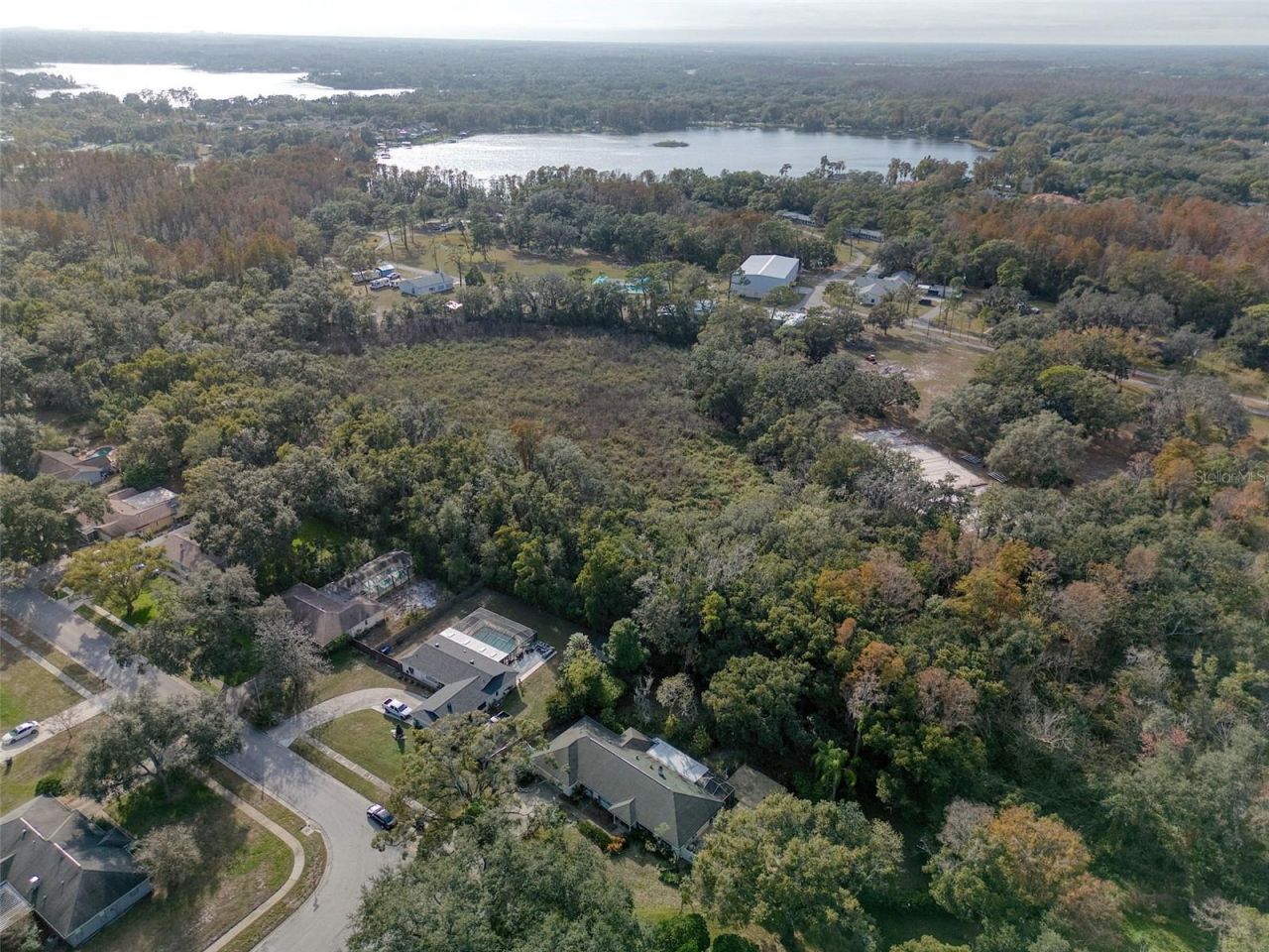 15715 Almondwood Drive, Tampa, FL 33613 Photo