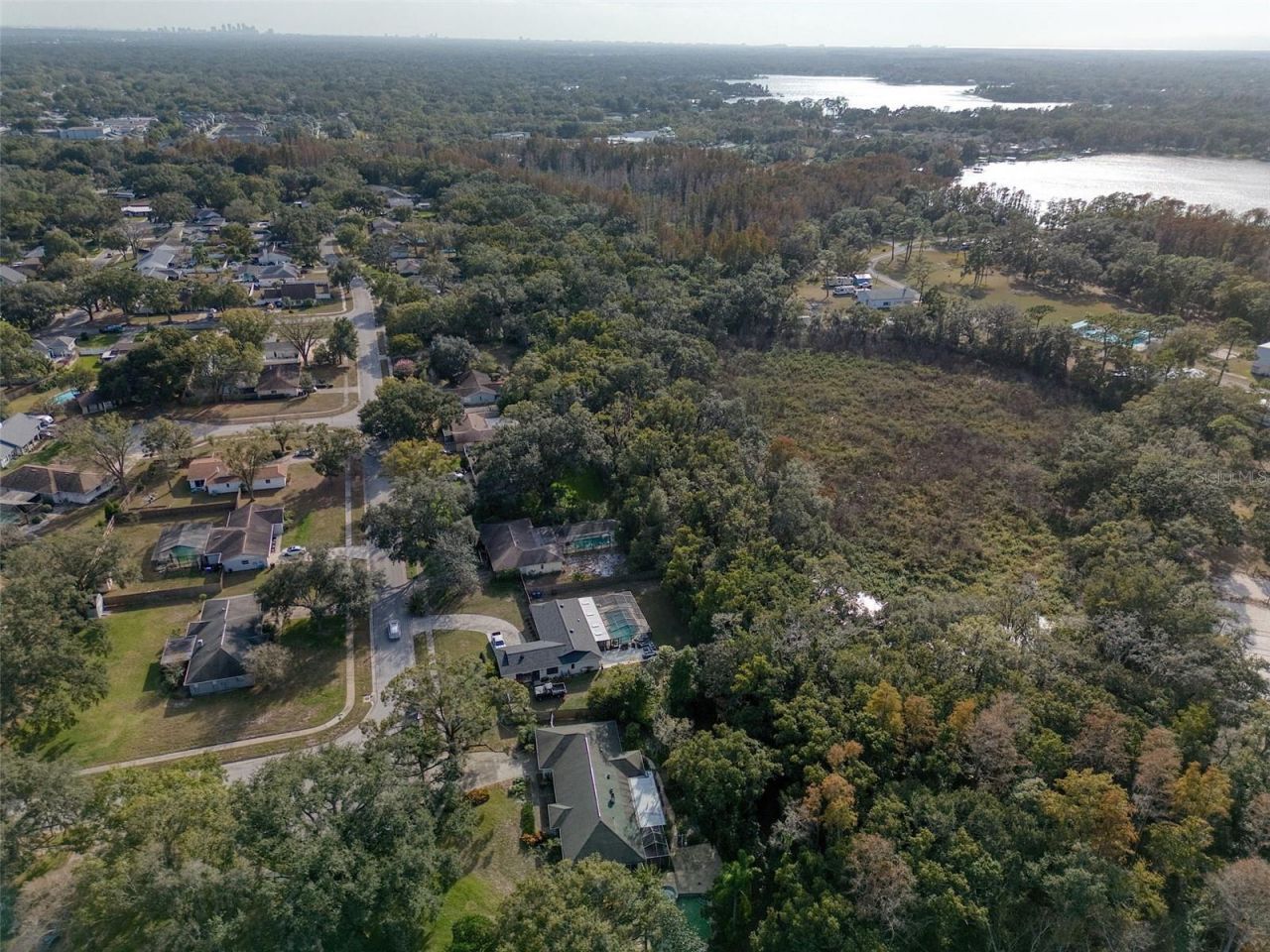 15715 Almondwood Drive, Tampa, FL 33613 Photo