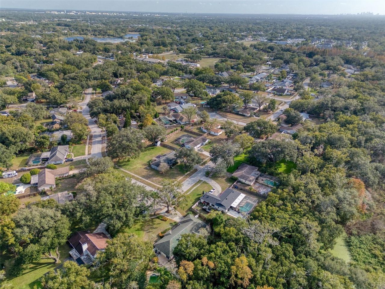 15715 Almondwood Drive, Tampa, FL 33613 Photo