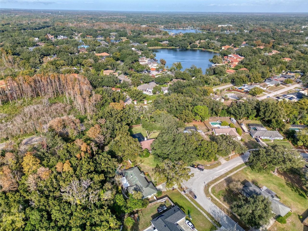 15715 Almondwood Drive, Tampa, FL 33613 Photo