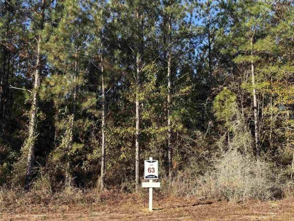 lot 63 Straw Bridge Rd, Jay, FL 32565