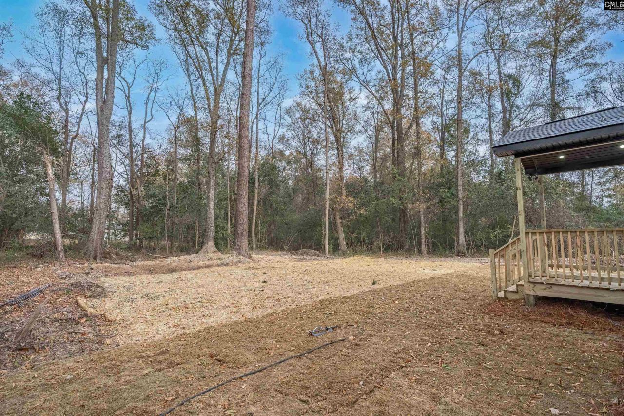 2109 Harlem Street Photo 40