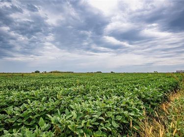 00000 Jackson Road, Richmond Ks, KS 66080