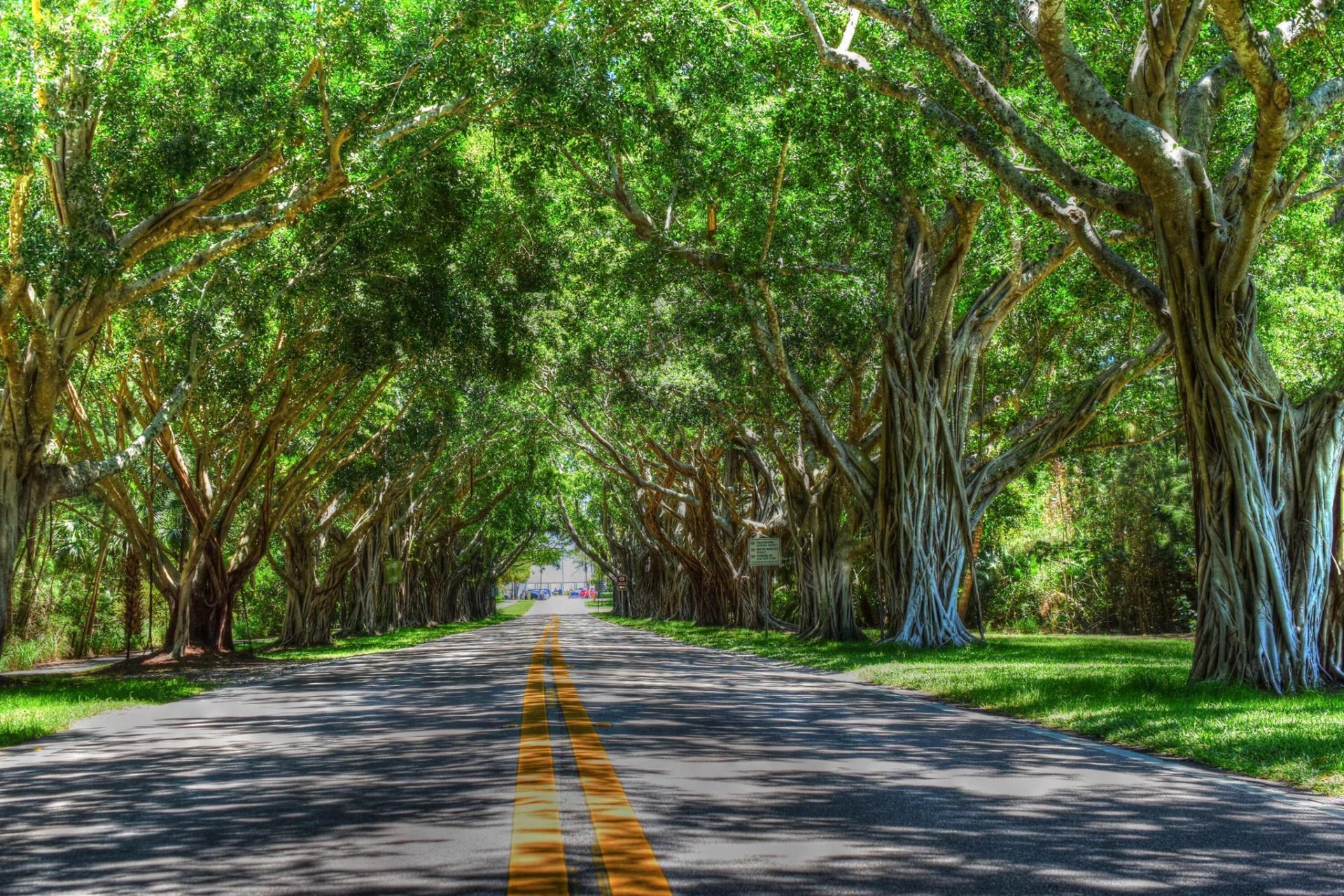 954 Marlin Drive, Jupiter, FL 33458 Photo