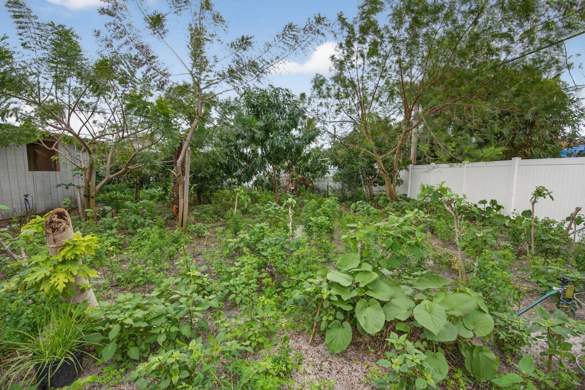 304 Kennedy Street, Jupiter, FL 33458 Photo