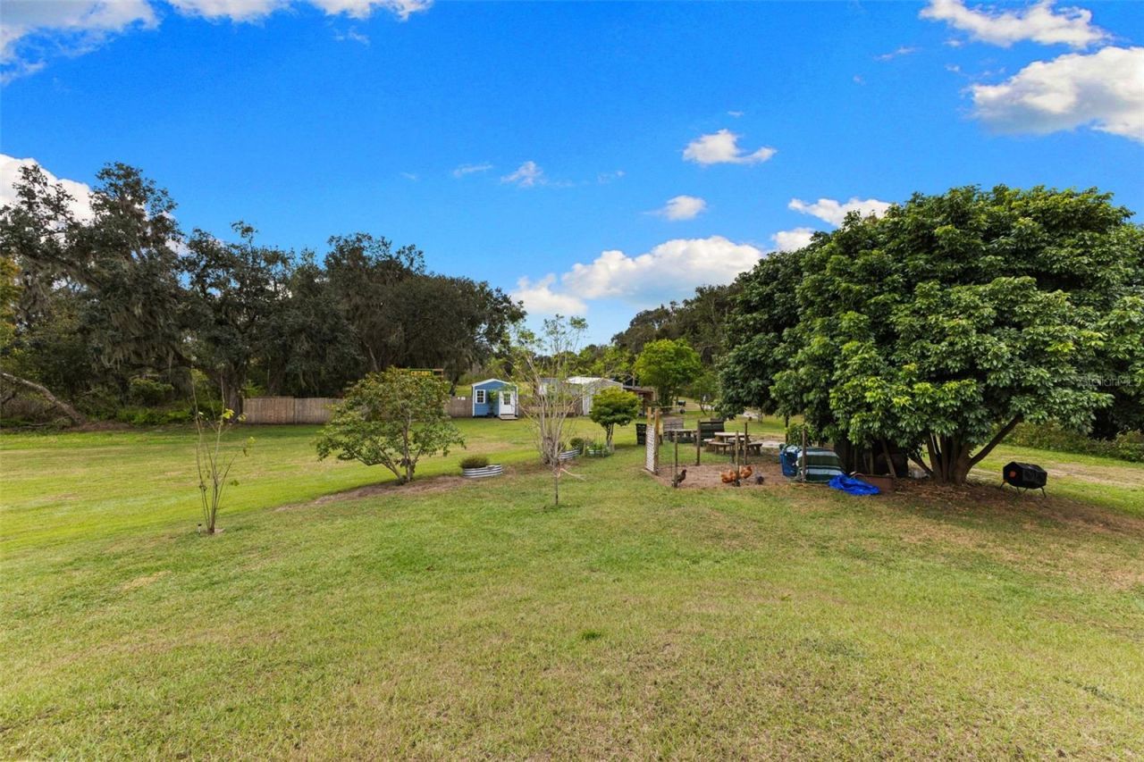 1103 Colson Road, Plant City, FL 33567 Photo