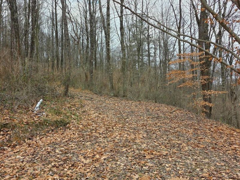 7857 Scenic Rd SE, Unit (Lot 11 at, Corning, OH 43730 Photo 10