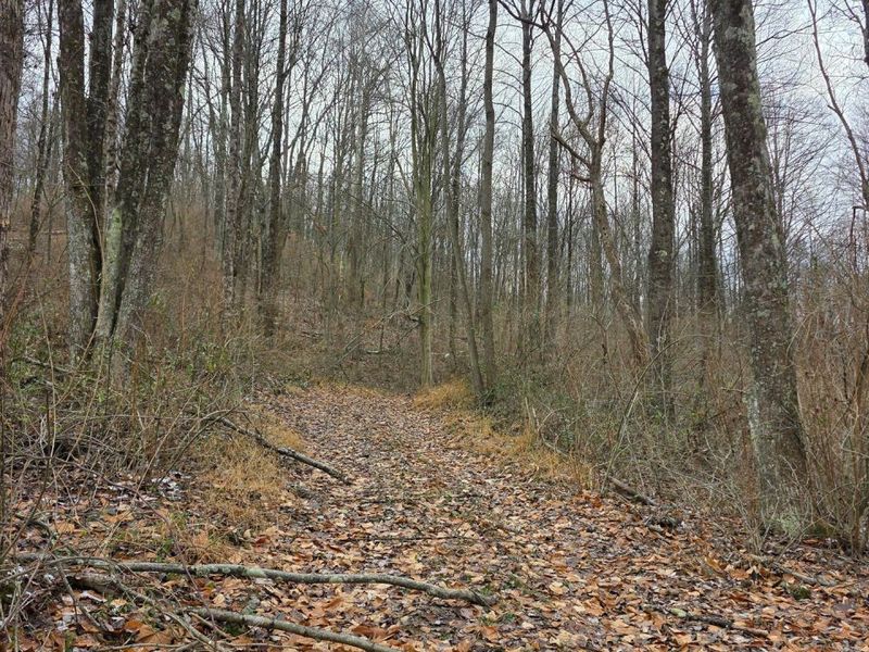 7857 Scenic Rd SE, Unit (Lot 11 at, Corning, OH 43730 Photo 12