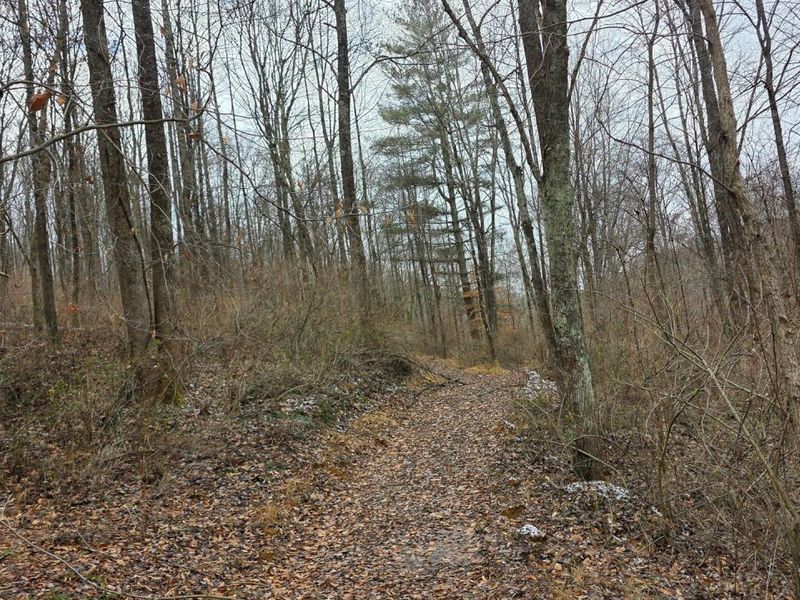 7857 Scenic Rd SE, Unit (Lot 11 at, Corning, OH 43730 Photo 13