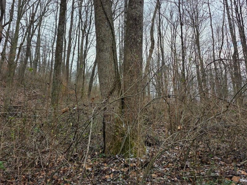 7857 Scenic Rd SE, Unit (Lot 11 at, Corning, OH 43730 Photo 14