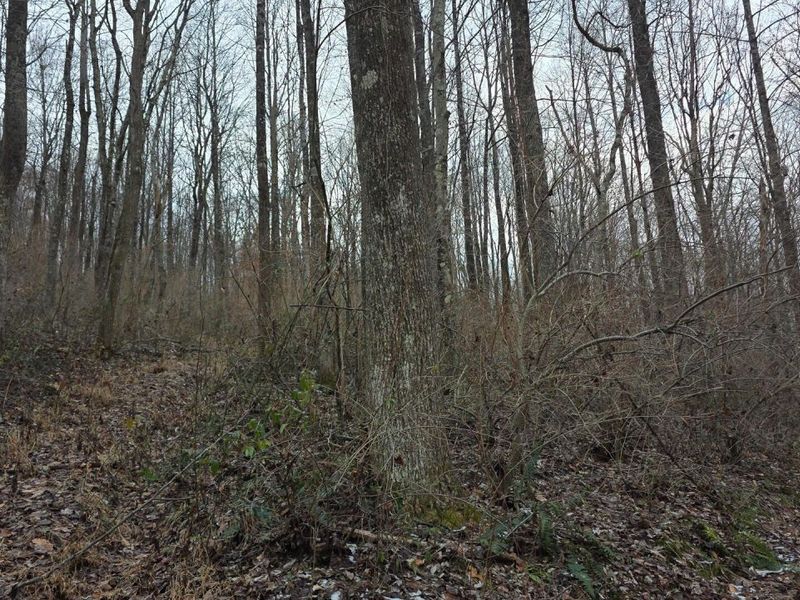 7857 Scenic Rd SE, Unit (Lot 11 at, Corning, OH 43730 Photo 15
