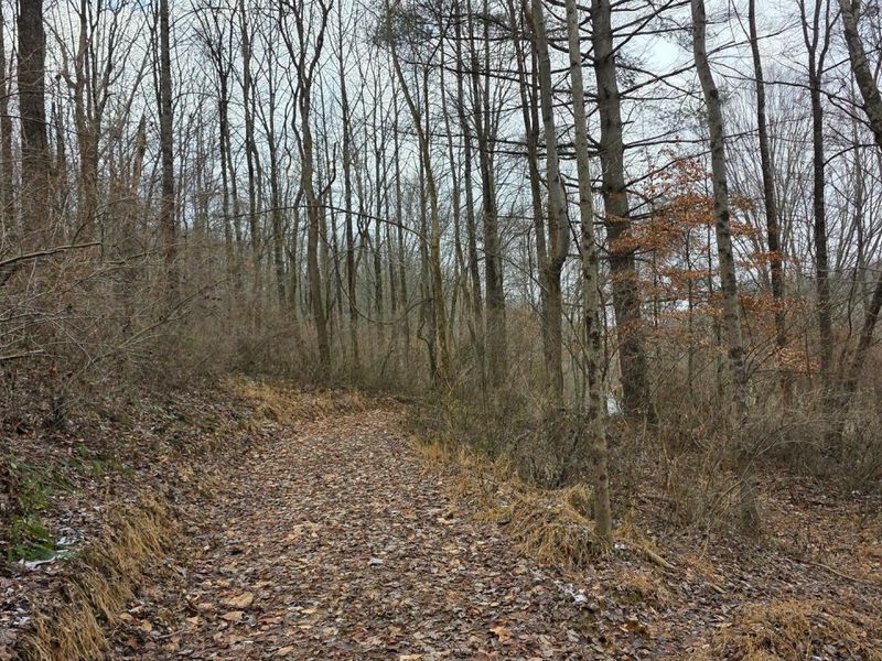 7857 Scenic Rd SE, Unit (Lot 11 at, Corning, OH 43730 Photo 16