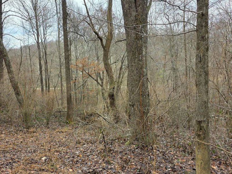 7857 Scenic Rd SE, Unit (Lot 11 at, Corning, OH 43730 Photo 17