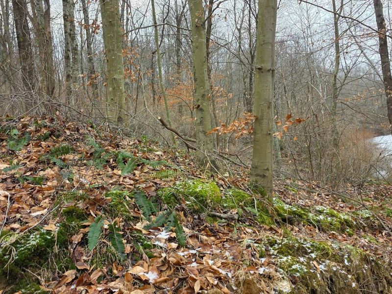 7857 Scenic Rd SE, Unit (Lot 11 at, Corning, OH 43730 Photo 20