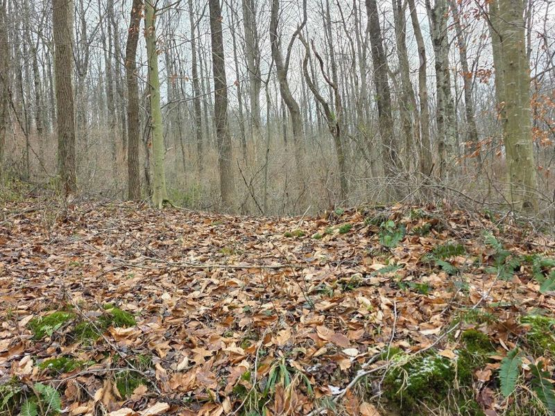 7857 Scenic Rd SE, Unit (Lot 11 at, Corning, OH 43730 Photo 21