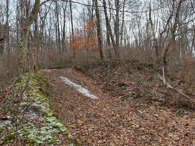 7857 Scenic Rd SE, Unit (Lot 11 at, Corning, OH 43730 Photo 22