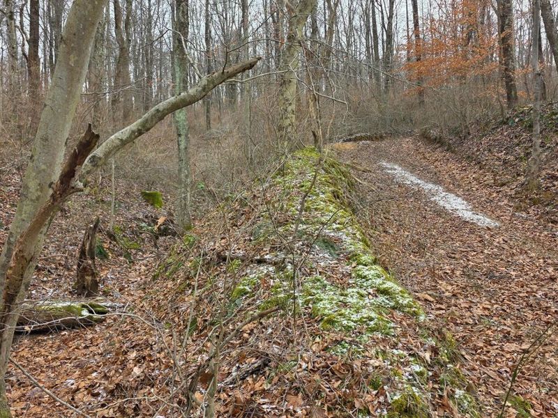 7857 Scenic Rd SE, Unit (Lot 11 at, Corning, OH 43730 Photo 23